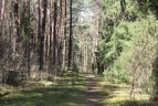 Sveikatingumo žygis „Šaltinio taku“