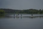 Irklentėmis Nemunu - 460 km