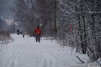 "Snaigės" žygis Vasario 16-ąją.