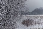 "Snaigės" žygis Vasario 16-ąją.