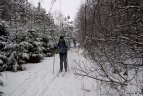 "Snaigės" žygis Vasario 16-ąją.