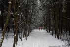 "Snaigės" žygis Vasario 16-ąją.
