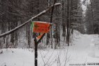 "Snaigės" žygis Vasario 16-ąją.