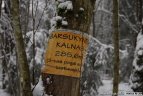 "Snaigės" žygis Vasario 16-ąją.